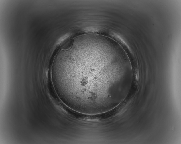 X0000086000491200703300951