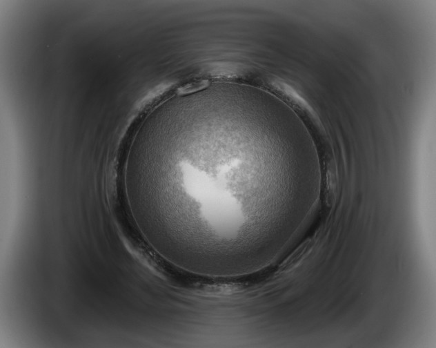 X0000086000492200703300951