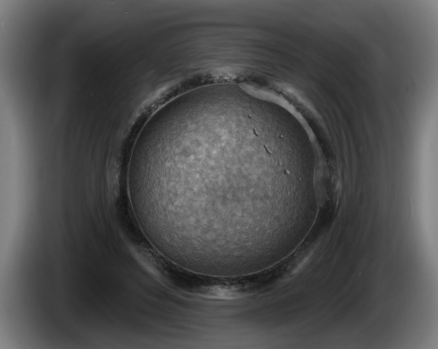 X0000086000496200703300951