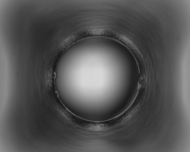 X0000086000497200703300951