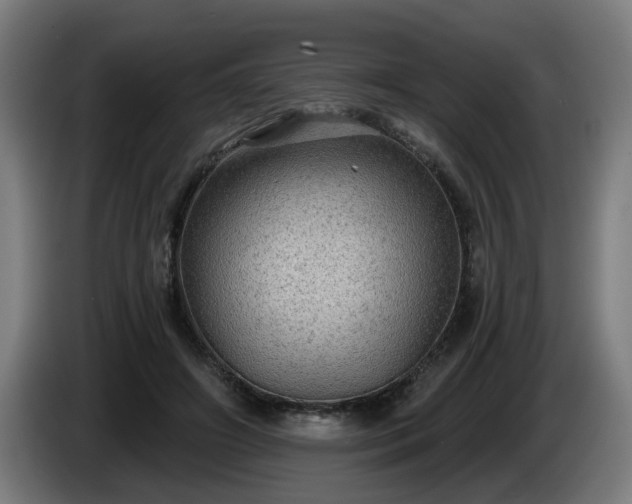 X0000086000498200703300951