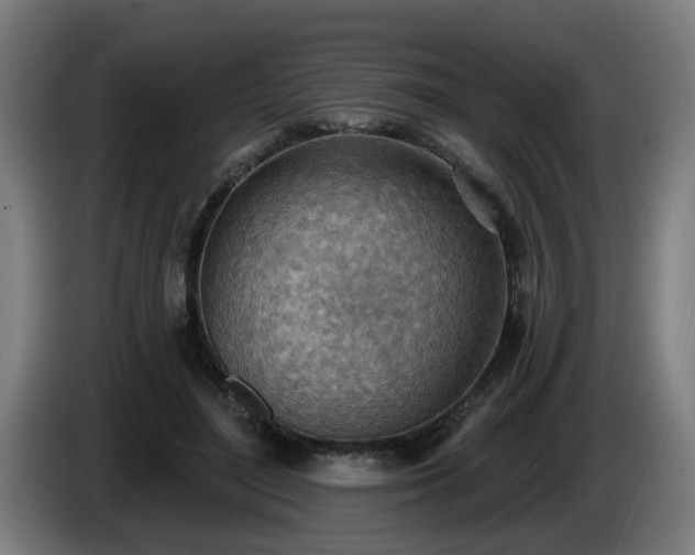 X0000086000500200703300951