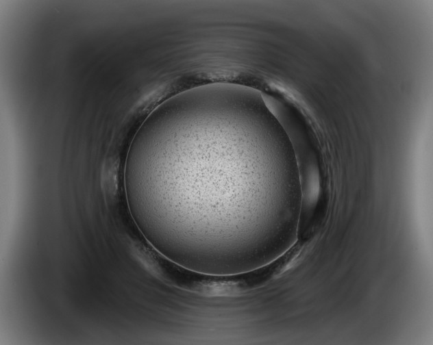 X0000086000501200703300951