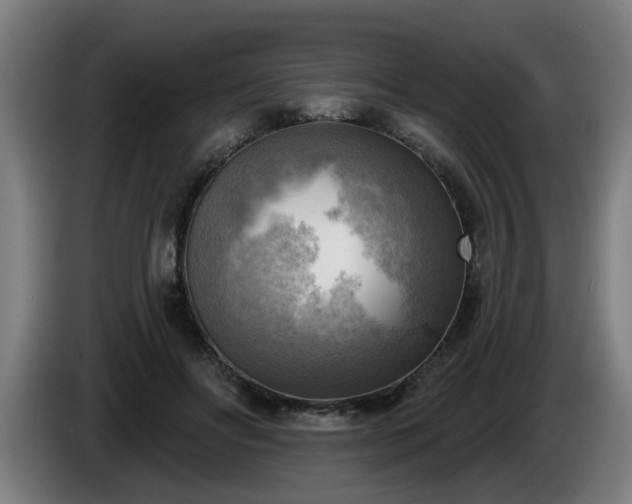 X0000086000502200703300951