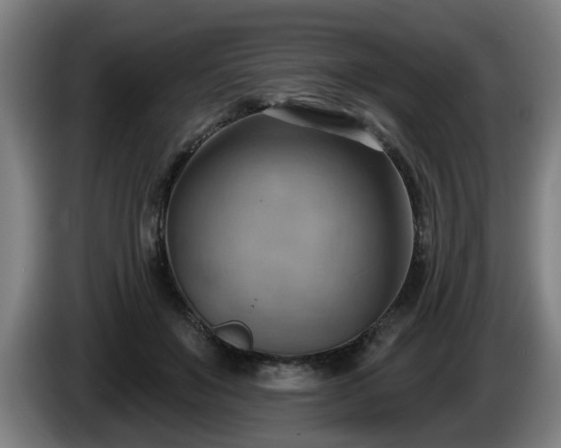 X0000086000503200703300951