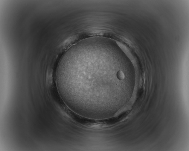 X0000086000504200703300951