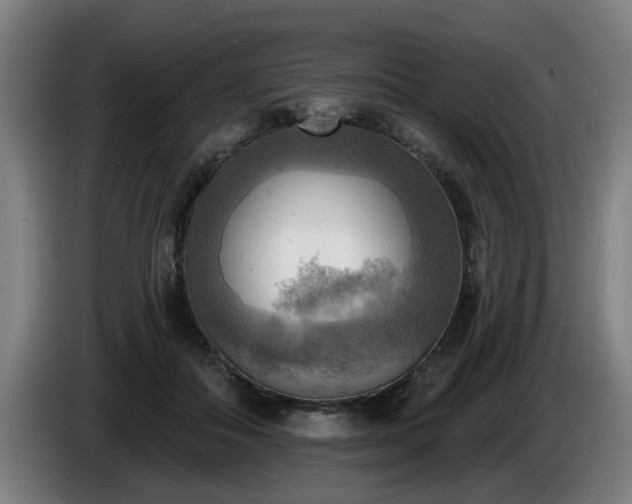 X0000086000506200703300951