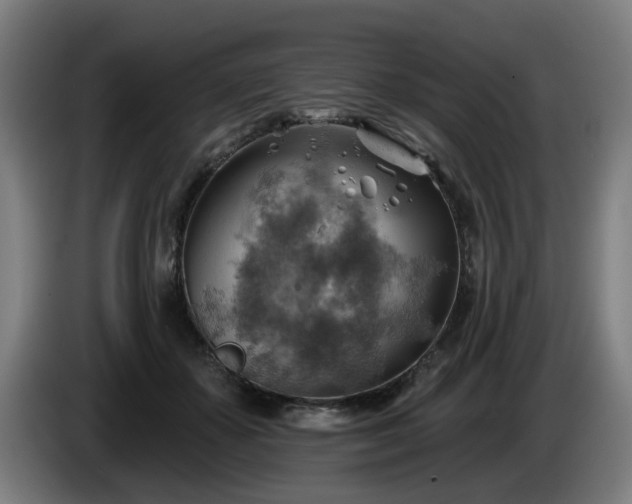 X0000086000507200703300951