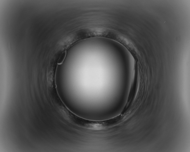 X0000086000509200703300951