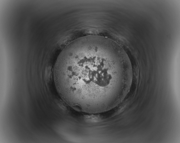 X0000086000511200703300951