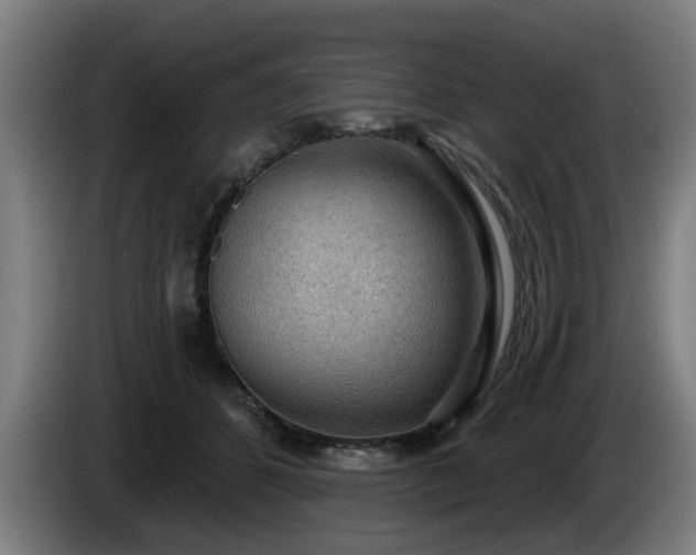 X0000086000512200703300951