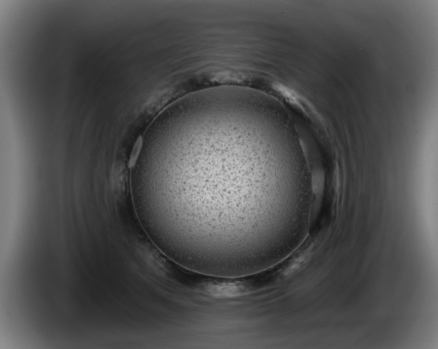 X0000086000513200703300951