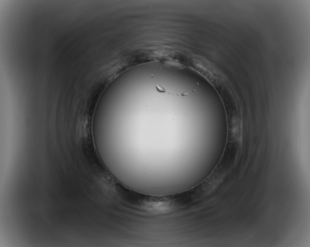 X0000086000514200703300951