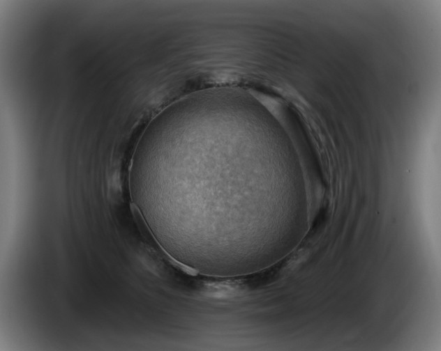 X0000086000516200703300951