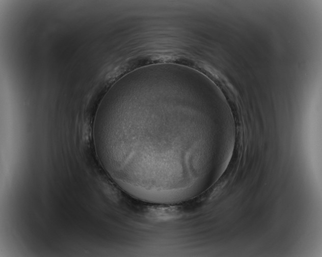 X0000086000517200703300951