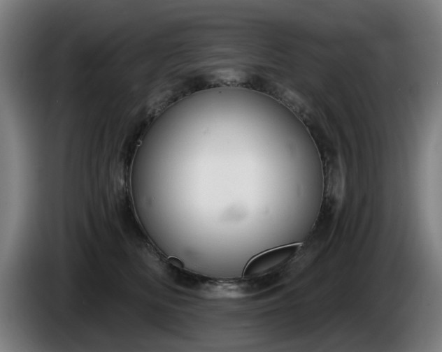 X0000086000518200703300950