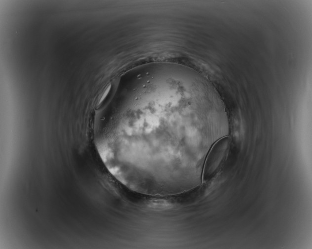 X0000086000519200703300950