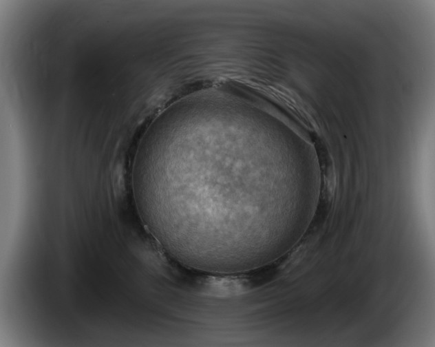 X0000086000520200703300950