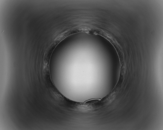 X0000086000521200703300950