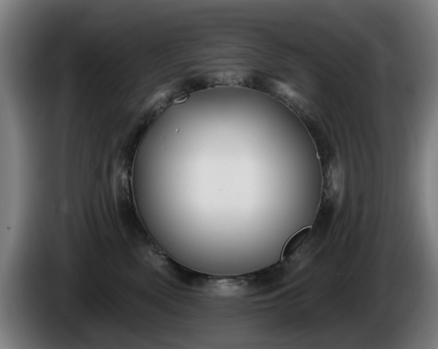 X0000086000522200703300950