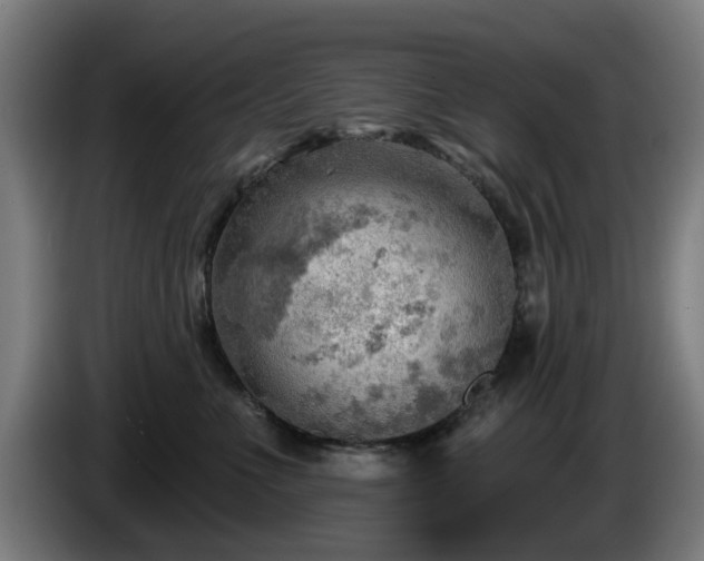 X0000086000523200703300950