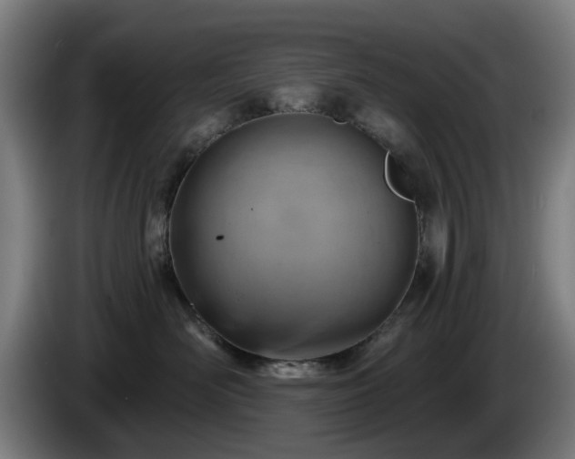 X0000086000526200703300950