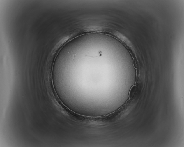 X0000086000529200703300950