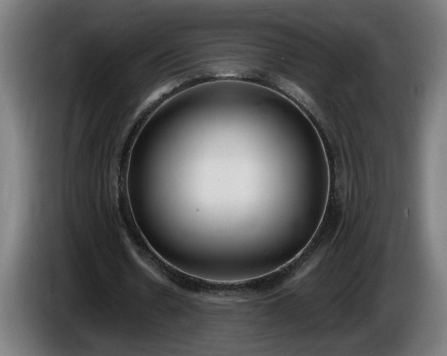 X0000086000530200703300950