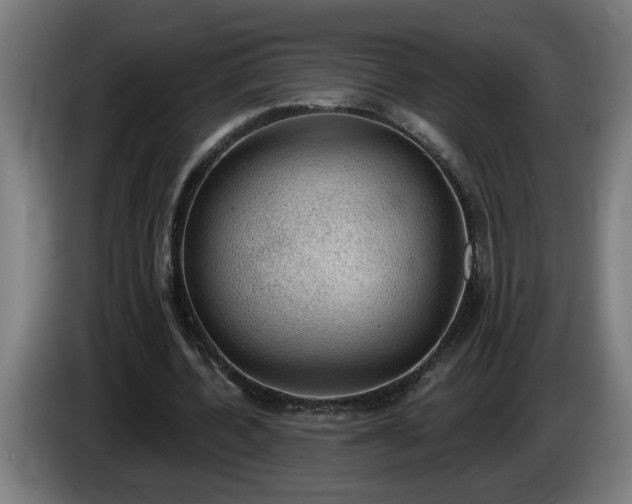 X0000086000532200703300950