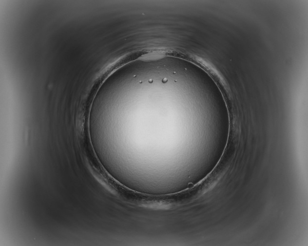 X0000086000533200703300950