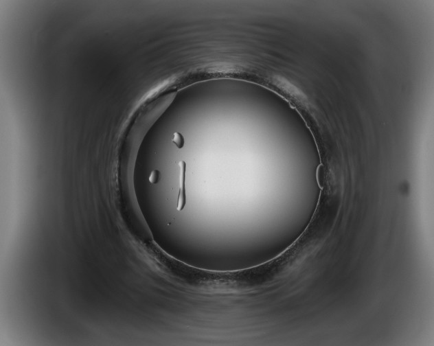 X0000086000535200703300950