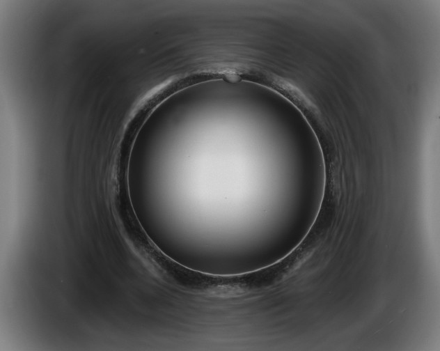 X0000086000536200703300950