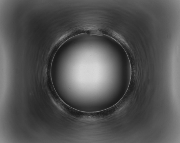 X0000086000538200703300950