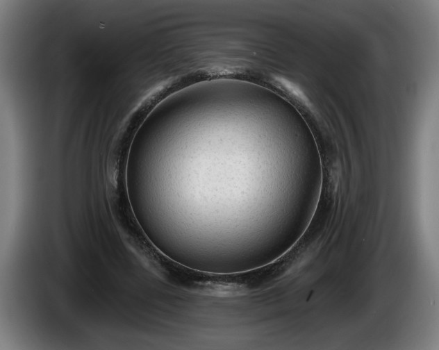 X0000086000539200703300950