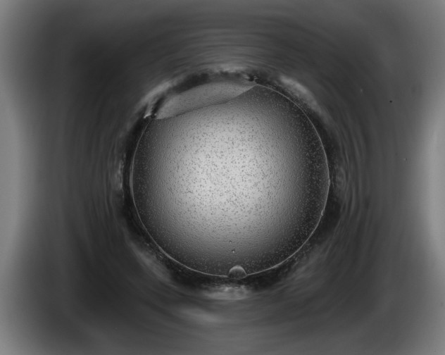 X0000086000543200703300950