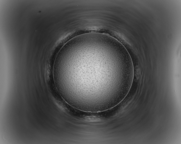 X0000086000544200703300950