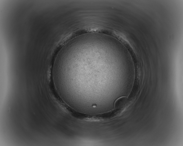 X0000086000545200703300950