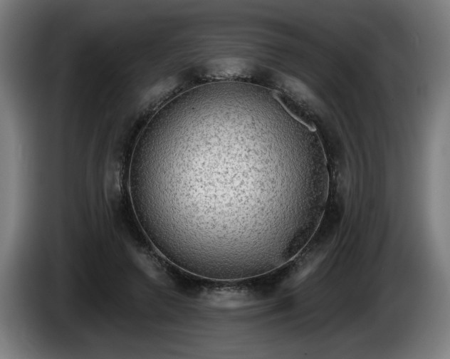 X0000086000546200703300950