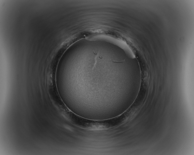 X0000086000547200703300950