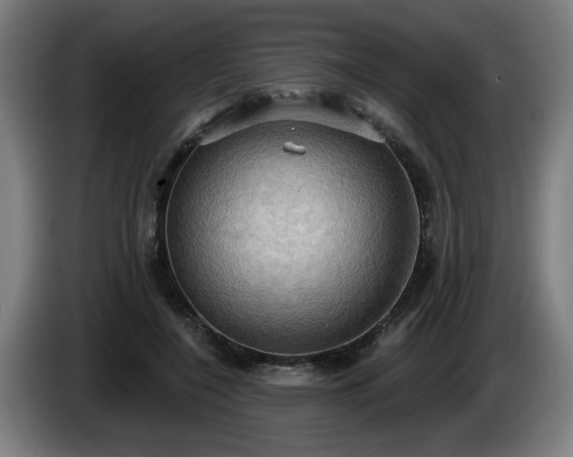 X0000086000548200703300950