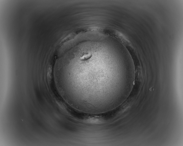 X0000086000550200703300950