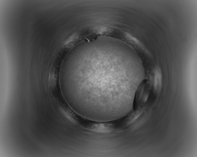 X0000086000558200703300950