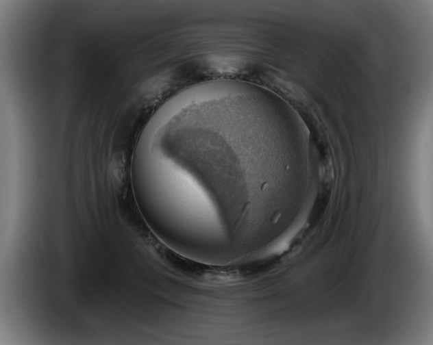 X0000086000559200703300950