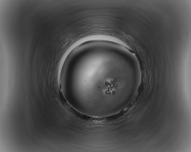 X0000086000560200703300950