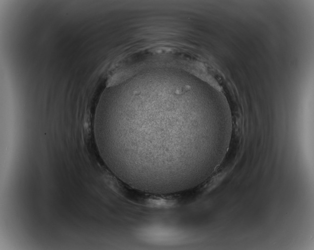 X0000086000561200703300950