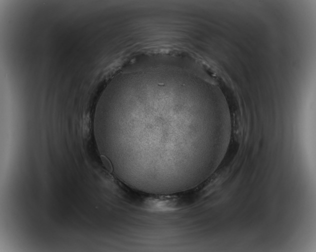 X0000086000563200703300950