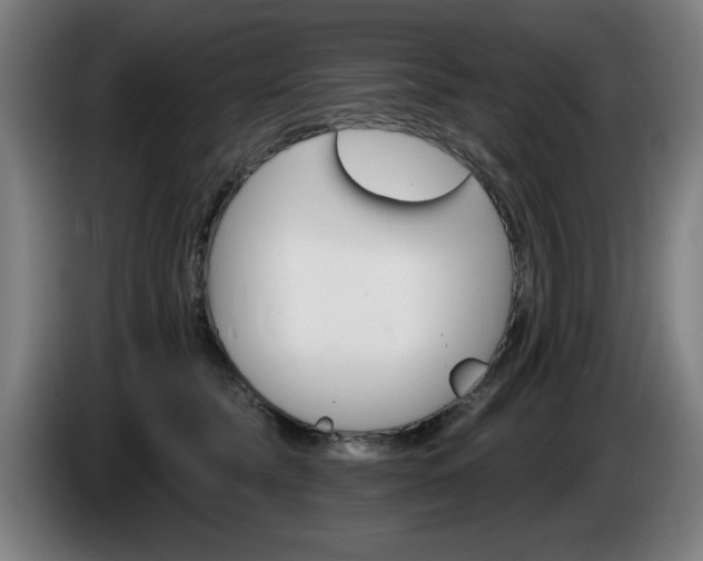 X0000086000565200703300950