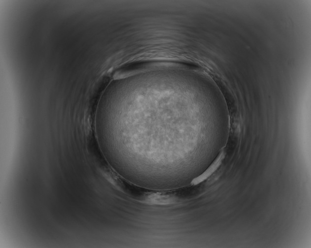 X0000086000568200703300950