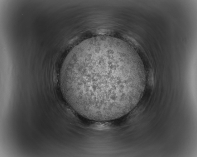 X0000086000569200703300950