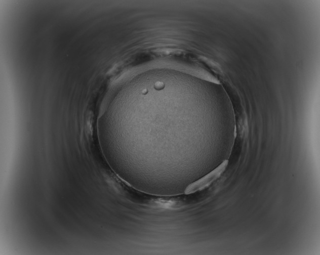 X0000086000570200703300950